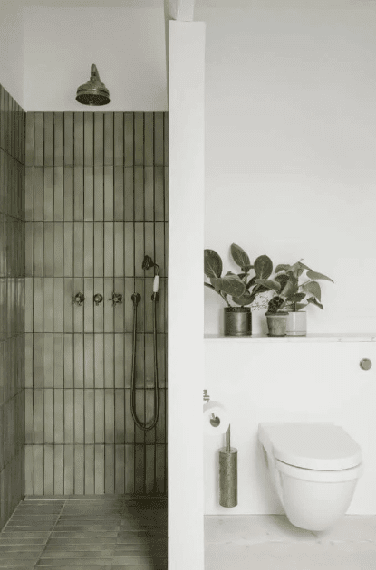 A modern bathroom showcasing a shower, toilet, and a decorative green plant for a fresh look.