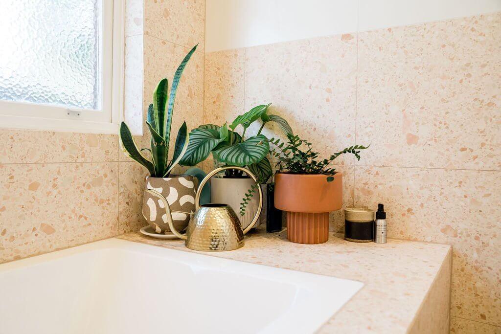 Styled potted plants on terrazzo tiled ledge, Petersham bathroom